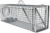 Holtaz Hardy Super Starke Falle Marderfalle Katzenfalle Fuchsfalle Biberfalle Tierfalle Kastenfalle Drahtfalle Waschbärfalle 1 Tür, Größe: 120x34x42 cm Mit Extra Kö