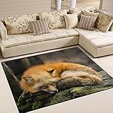 HJKGSX Teppich Tier Fuchs Flanell rutschfest Weicher Kurzflor Teppich modern für Wohnzimmer, Schlafzimmer, Kinderzimmer und Arbeitszimmer 60 x 90