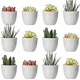 Youngever Mini-Pflanzgefäße, 5,1 cm, Kunststoff, für den Innenbereich, grauer Gartenarbeits-Topf mit Drainage – keine Pflanze im Lieferumfang enthalten (modern)