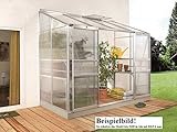 Gartenwelt Riegelsberger Anlehngewächshaus Ida - Ausführung: 5200 HKP 4 mm Alu, Fläche: ca. 5,2 m², mit 1 Dachfenster, Sockelmaß: 1,90 x 2,54