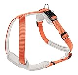 HUNTER NEOPREN Hundegeschirr, orange/creme, 81-100