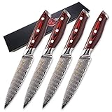 Meat Cleaver Damaskus Küchenmesser 4 Stück Steakmesser Set 67 Layer VG10 Japaner Damaskus Stahl rot G10 Griff Küchenmesser Besteck Werkzeuge (Color : A)