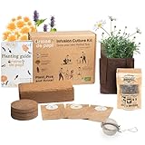 Bio Kräuter Anzuchtset Infusion Pflanze – 100% Öko Kräutersamen - Geschenkidee - Indoor Garten - Pflanzset Kamille, koreanische Minze, Chry