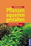 Pflanzenaquarien gestalten: Planen, Pflanzen, Pflegen, 100 Arten im Überblick
