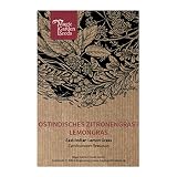 Ostindisches Zitronengras / Lemongras (Cymbopogon flexuosus) - ca. 250 S