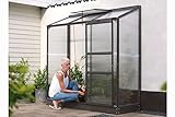 Vitavia Anlehngewächshaus Ida 1300 HKP 4 mm 1,30 m², schw