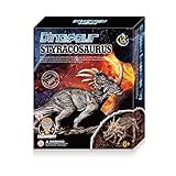 WWJ Dinosaurier Graben Kits, Archäologischer Dinosaurier Fossil Spielt Spielzeug Mit Gläsern Und Lupe Kit DIY Dinosaurier Zusammenbauen Spielzeug Für Kinder Pädagogische Geschenke,Sty