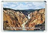 K220 The Grand Canyon of The Yellowstone Jumbo Kühlschrankmagnet USA - United States of America Travel Fridge Mag