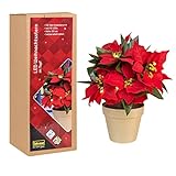 Idena 30259 - LED Weihnachts-Stern im Topf mit 10 LED in Warmweiß, batteriebetrieben, mit 6 Stunden Timer-Funktion, als Dekoration zur Adventszeit und zu W