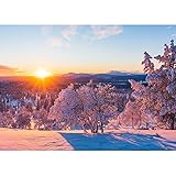 Grüner Wald Naturlandschaft Fotografie Hintergrund Landschaft Portrait Foto Hintergrund Studio Requisiten A1 10x7ft/3x2.2