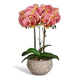 4Ever Green Künstliche Große Kunstblumen Orange Helllila Orchidee Phalaenopsis Künstliche Blumen Deko Kunstpflanze Kunstblume im Grau Zement Topf, 42 cm H