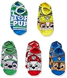 Nickelodeon Boys' Little Paw Patrol 5 Pack No Show, Bright Big Face, Sock 6-8.5 Fits Shoe Size 7.5-3.5