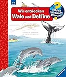 Wieso? Weshalb? Warum? Wir entdecken Wale und Delfine (Band 41) (Wieso? Weshalb? Warum?, 41)