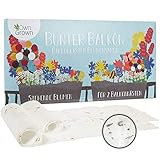 Bunter Balkon Blumenmischung - 2 Premium Saatteppiche für Balkon Blumen zum einfachen Anbau, Sommerblumen und Wildblumensamen von OwnGrown, insektenfreundliche Blumensamen einjährig