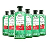 Herbal Essences PURE: renew Farbschutz & Glanz Shampoo mit Aloe + Mango, 6er Pack (6 x 225 ml), Shampoo Damen, Haarpflege Glanz, Ohne Silikon, Ohne Sulfate, T