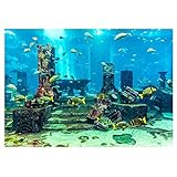 Fdit PVC Coral Aquarium Hintergrund Unterwasserposter Aquarium Wand Dekorationen Aufkleber für Aquarium(61 * 30cm)