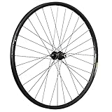 Taylor-Wheels 29 Zoll Hinterrad DT Swiss Deore XT FH-M8010 Steckachse Disc 142