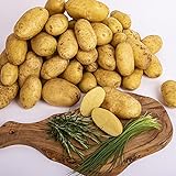 Hubert Riesinger Kartoffeln | Speisekartoffel aus bayerischen Landen 10kg geeignet für alle Gerichte | Ofenkartoffel | Salatkartoffel |… (Frühkartoffel Sunshine | vorwiegend festkochen)