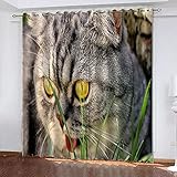 TTBBBB Verdunklungsvorhang Grüne Blätter Kätzchen B 183 x H 160 cm Gardinen Verdunkelungsvorhang Schlafzimmer Kinderzimmer Thermovorhang Fensterdekoration 3D Muster Ösen schal 2Er S