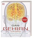 Das Gehirn: Anatomie, Sinneswahrnehmung, Gedächtnis, Bewusstsein, Störungen. Aktualisierte Neuausgab