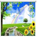 Ccsh Rollo Verdunkelungsrollos Regenbogen Rasen Wasser, Wärmegedämmte Sonnenschutzrollos, Einfach zu Installierender Rollvorhang für Duschküche (Size : 120cm x 240cm(3.9ft x 7.9ft))