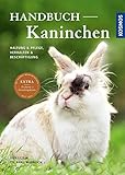 Handbuch Kaninchen: Haltung & Pflege, Verhalten & Beschäftigung