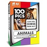100 PICS Reise-Spiel mit Tieren, Familien-Lernkarten, Taschenpuzzles für Kinder und Erw