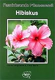 Hibiskus: Faszinierende Pflanzenw