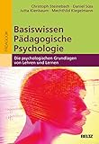 Basiswissen Pädagogische Psychologie: Die psychologischen Grundlagen von Lehren und Lernen (Beltz Studium)