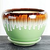 WANIYA1 Indoor Pflanzentöpfe Keramik Blume Pflanzgefäß Grüner ROE Multi-Fleisch Pot Flow Glasur Sukkulenten Pflanzer Blumentopf mit Abflussbohrung Saucer Retro Anti-Zisha Keramik Blumentöpfe Indoor D