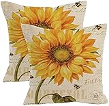 Aniro 2Pcs Leinenmischung natürliche Blumen Muster Kissenbezug Baumwolle Kissenbezug Quadrat Dekorative Kissenbezug 18 X 18 '' (Ölgemälde Sonnenblume)