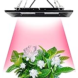 Twaray Cob-led Wachsen Licht Volles Spektrum 100w Wasserdicht Ip67 Für Gemüseblume Indoor Hydroponische Gewächshaus-anlage Beleuchtungslamp