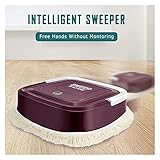 Teppich-Kehrmaschine Auto Mopping Roboter Staubsauger Automatische Kehrmaschine Bodenreiniger Teppich Sauber Wiederaufladbare Trockene Nass Haushaltsreinigung Boden Für Hartholzoberfl?chen, Holzb?