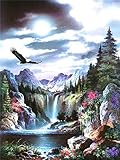 Voller Quadratbohrer 5D DIY Diamant Malerei Adler Tiere Diamant Stickerei Verkauf Kreuzstich Kit Wohnkultur Geschenk A12 40x50