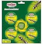 Substral Celaflor Ameisen-Köder, zur Bekämpfung von Ameisen im H