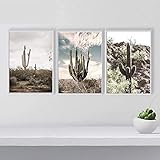 VUSMH Kaktus Poster Kunstdruckt Wüstenpflanze Leinwand Bild Sukkulenten Wand Bilder Home Wohnzimmer Schlafzimmer Wanddekoration Bild 40x60cmx3 Kein R