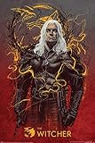 The Witcher - Geralt The Wolf - Games Maxi Poster Druck Poster - Größe 61x91,5 cm + 1 Packung tesa Powerstrips® - Inhalt 20 Stück