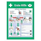 Holthaus Medical Tafel Anleitung zur Ersten Hilfe Unfall Schild Betriebe, Kunststoff, 56x40