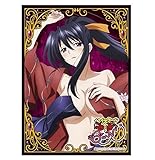 High School DxD BorN Akeno Himejima Card Game Character Sleeve Collection Mat Series No.MT244 Anime Girl Japan Import by M
