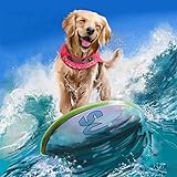 Kreuzstich Stickpackungen Vorgedruckt zählen Set Surfen im Meer 11CT Skulptur Stickvorlagen Stickbilder Zum Sticken Starter Set FüR Erwachsene Kinder AnfäNger-40X50
