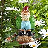 DENGZI Gartenzwerge Lustig FüR AußEn,Gartenzwerg Stinkefinger Nackt Wetterfest Groß Sexy Funny Garden GNOME Statue Garden Decorati Resin Dwarf Statue Innen- Oder AußEndek