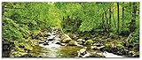 Artland Glasbilder Wandbild Glas Bild einteilig 125x50 cm Querformat Natur Landschaft Wald Fluss Wasserfall Felsen Steine Bach T1YH