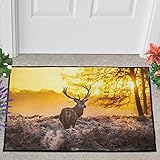 AXGM Fussmatte Fußmatte Wald Sonnenuntergang Hirsch Gedruckt Bodenmatte Innen Bad Teppiche Weiche Türmatte Badvorleger für Haustür Dekor White 40x60