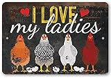 Lustiges Hühner-Schild für draußen I Love My Ladies Metallschild für drinnen und draußen, lustiges Hühnerfarm Dekor, Höhle Herren, personalisiertes Blechschild 20,3 x 30,5