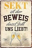 schilderkreis24 – Blechschild Lustiger Alkohol Spruch “Sekt ist der Beweis, dass Gott uns liebt“ Deko Bar Küche Prosecco Champagner Secco Wein Theke Geschenkidee Geburtstag Weihnachten Frauen 20x30