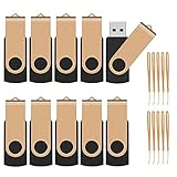 TEWENE USB Stick 8GB 10er Pack mit Lanyards Rotating Foldable USB 2.0 Speicherstick 8GB Memory Stick Pendrive USB Flash Drive (8GB, 10 Stück) G