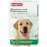 beaphar Zecken- & Flohschutz Halsband Hund | Schutz vor Zecken Flöhen | Wirkt 4 Monate | Hundehalsband mit frischem Duft | Farbe: Grün | Länge: 65