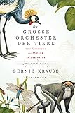 Das große Orchester der Tiere. Vom Ursprung der Musik in der N