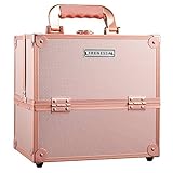 Kosmetikkoffer Alu Beauty Case Schminkkoffer mit Schloss, Klappbare Make-up Aufbewahrungen Reise Organizer für Friseur und Visagisten, 25x18x23,5cm (Roségold)