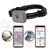 🐾 findPet GPS für Hunde [GPS MAX 2021] Der Standort Ihres Hundes in Echtzeit und Aktivität 24 Stunden. Batterie 10-15 Tag